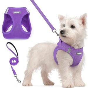 rabbitgoo Small Dog Harness and Lead Set, Step-in Soft Mesh Puppy Harness