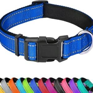 Reflective Dog Collar,Adjustable Neoprene Padded,Blue,M