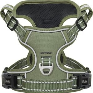 HEELE Dog Harness, Dog Harness for Small Medium Large Dogs No Pull Adjustable Padded Reflective Harness with Handle for Walking Training, Green, S