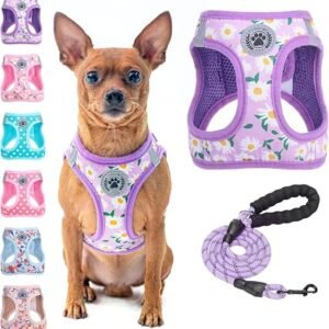 BEAUTYZOO Small Dog Harness and Leash Set,No Pull Puppy Pet Vest-Floral,2XS