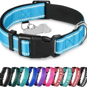 TECEUM Reflective Dog Collar Sky blue M ? Padding ? Nylon, Quick Release