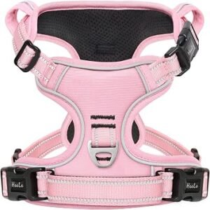 HEELE Dog Harness, No Pull Dog Harness Small, Release on Neck, Reflective Adjustable with Front Back 2 Leash Attachments and Soft Padded Control Handle for Walking Training, Light Pink, S