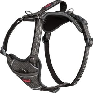 Halti Anatomy Dog Harness with Handle | Size M, Grey