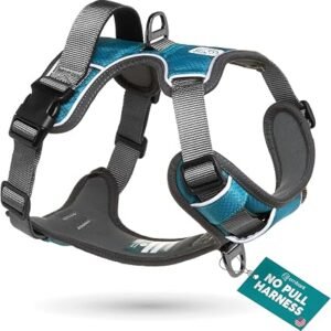 Embark Adventure No Pull Dog Harness, Heavy Duty Vest, Teal Large