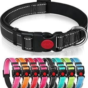 Reflective Nylon Dog Collar with Safety Buckle, Black, M