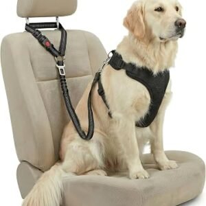 Dog Seat Belt for Car Headrest & Seatbelt Clip - Anti Shock Elastic Bungee Dog Car Harness Lead - Dual Attachment Adjustable Reflective Safety Restraint for Puppy Small Large Dogs (Black)