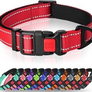 Taglory Reflective Dog Collar for Medium Dogs, Padded Nylon with Buckle,Red