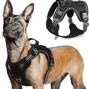 rabbitgoo Tactical Dog Harness Large Dog, Anti Pull Vest, L, Black