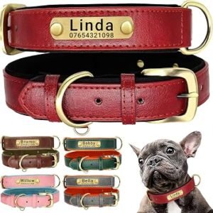 SEOUGEE Genuine Leather Dog Collar Personalised, Soft Padded Leather Dog Collars Heavy Duty with Custom Engraved Name Plate Adjustable for Small Medium Large Dogs (S, Red 23-32cm)