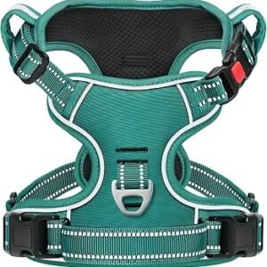 HEELE Dog Harness No Pull Release on Neck with Lockable Buckle, Front Back Clips Dog Vest Harness Reflective Adjustable Padded, Easy Control Handle for Outdoor Walking Training, Grass Green, M