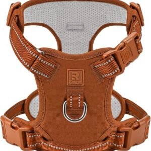 No Pull Dog Harness M for Medium Dogs,with 3 Buckles & Clips, Oxford & Mesh