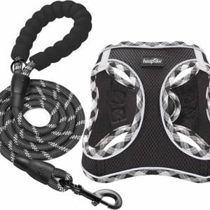 haapaw Dog Harness and Lead Set, No Pull Adjustable Reflective Step-in Puppy Harness with Thickened Padded Vest for Extra-Small/Small Medium Dogs