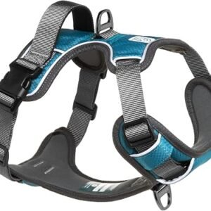 Embark Adventure No Pull Dog Harness, Heavy Duty Vest, Teal Medium