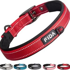 Fida Padded Dog Collar, Metal Belt Buckle Dog Collar for Medium Dogs, Red