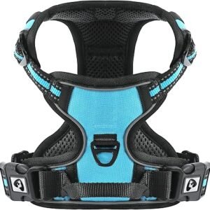 Dog Harness Small Medium Large No Pull, Adjustable Reflective Front Clip Dog Harness with Easy Control Handle, 2 Metal Rings for Training or Walking, Blue S