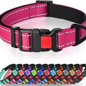 Taglory Reflective Dog Collar for Small Dogs, Padded Nylon with Buckle