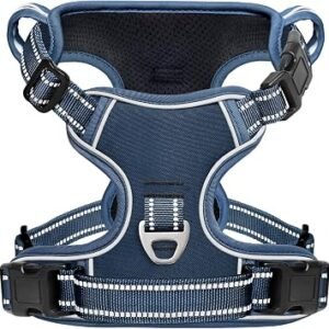HEELE Dog Harness No Pull Small Release on Neck Front Back Clips Dog Vest Harness Reflective Adjustable Padded Breathable Easy Control Handle for Walking Training, Royal Blue, S