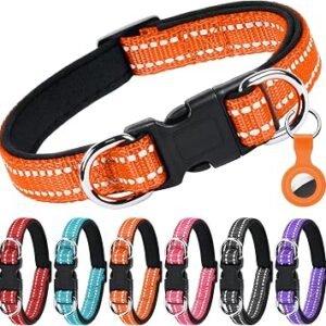 AUAUY Reflective Nylon Dog Collars, for Small Puppy, Medium Large Dogs