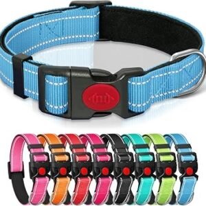 Reflective Nylon Dog Collar with Safety Buckle, Light Blue, M