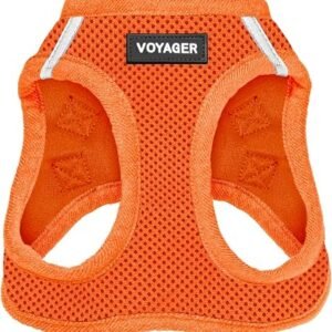 Voyager Step-In Air Dog Harness by Best Pet Supplies - All Weather Mesh Step in Vest Harness for Small and Medium Dogs, Orange, size M - Chest: 16-18"