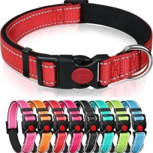 Reflective Nylon Dog Collar with Safety Buckle, Red, M