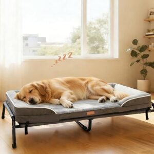 Large Raised Dog Bed, 2-in-1 Orthopedic Elevated Pet Sofa Bed