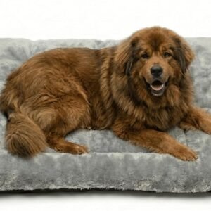 Dog Bed, Pet Cat Beds Cushion Mattress, Soft Warm Dog Mat Pad For Dogs (Large 75 x 100 cm, Luke)