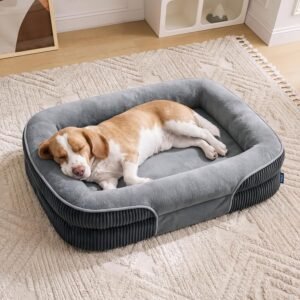 Bedsure Orthopedic Dog Bed Large, Oval Bolster Pet Bed, 89x64x18cm, Grey
