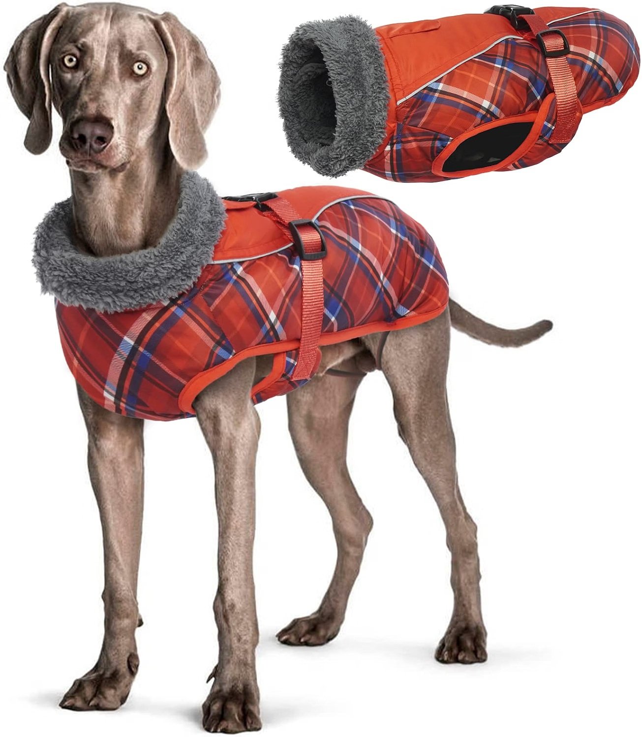 Waterproof Winter Dog Jacket - Warm Coat With Harness Hole for Small, Medium, Large Dogs - Suitable for Chihuahua, French Bulldog, Dachshund