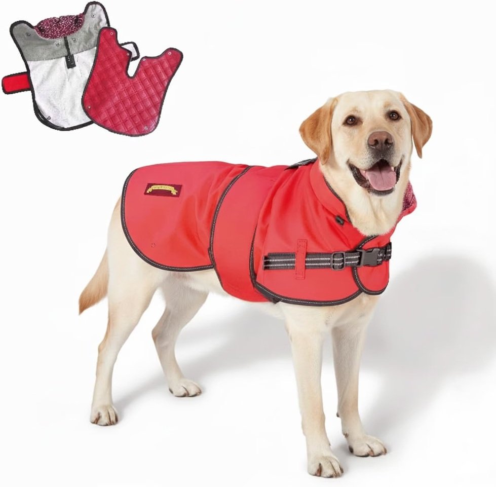 TAIL BLAZERS 2-in-1 Waterproof Dog Coat Raincoat (XS/Red) | All-season dog raincoat with detachable quilted liner, windproof breathable fabric, and rear...