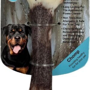 J&E Importers The Pet Store 7” Jurassic Bone Dog Chew Pet Toy For Aggressive Chewers, Maximum Strength, Tough Extreme, Hours Of Fun For Your Dog.