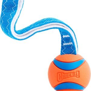 Chuckit! Ultra Tug Ball and Rope Dog Toy, Medium, 6.5 cm (1-Pack) | For Tug of War & Fetch, Durable Rubber, High Bounce, Bright Colours for High...