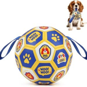 Vivifying Interactive Dog Toys Ball, Dog Football for Small (15.24cm/6in) | Dog Ball with Grab Tags Play Indoor&Outdoor for Tug of war and Burning...