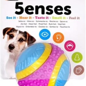 Sharples Beef Scented Five Senses rubber ball for dogs, medium