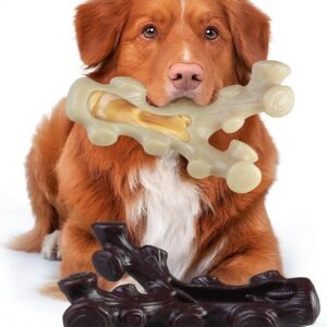 GASAPET Dog Chew Toys for Aggressive Chewers,2 Indestructible Dog Toys | For Medium and Large Breed, Real Bacon Flavored Best Dog Toys to Keep Them Busy,...