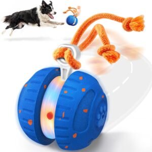 ProductHETOO Dog Toys, Random Path Rolling Dog Ball with Rope | 2 Speed Modes, Motion-Activated, Pet-Safe ETPU Shell, Automatic Moving Toy for Small Medium Large Dogs