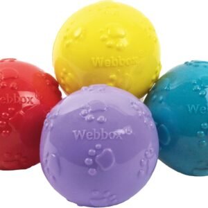 Webbox Fun & Squeaky Balls (4 Pack) - Boredom Buster Dog Toys