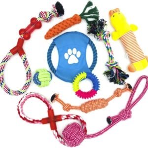 Wefine Puppy Chew Toys - 100% Natural Cotton Rope for Small & Medium Dogs (10 PCS)