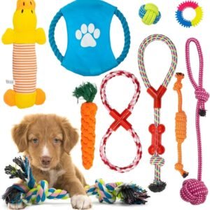 Fur & Bone Dog Chew Toys (10-Pack) - Puppy Toys for Boredom - Indestructible Rope & Squeaky Teething Toys for Small & Medium Dogs