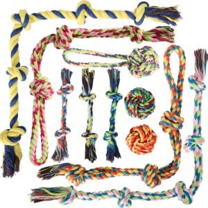 Aitmexcn Dog Rope Toys for Small and Medium Dogs, 10 Pack Cotton Chew Toys | Rope Teething Toys for Tug of War and Interactive Play, Washable Knot Dog Toy...