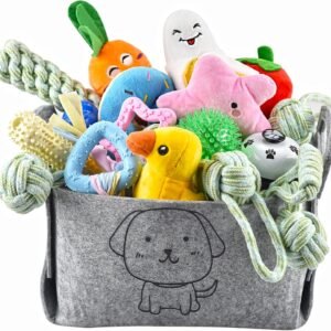 Ousiya 24 Pack Puppy Toys Set with Storage Box for Teething, Training, Play | Assorted puppy chew toys from 8 weeks small dogs, with toy box saves space,...
