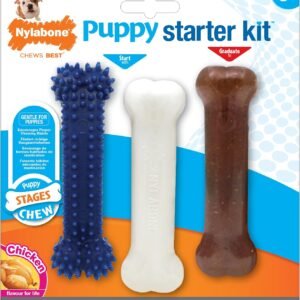 Nylabone Puppy Starter Kit, Pack of 3 Dental Dog Chew Bones, Teething, Gentle, Graduate, Small, for Puppies Up to 11 kg