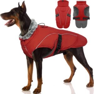 Extra Warm Dog Coat, Winter Jacket Medium Dogs Windproof Fleece Vest Outfit Jack Russel Cocker Spaniel Beagle for Dark Night Early Mornings Wear(Red, L)