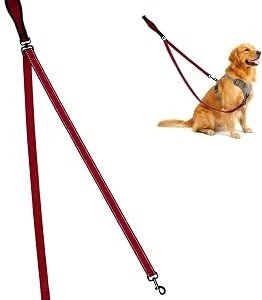 Double Ended Dog Lead for Medium and Large Dogs, 2 Point Control Double Clip Lead with 360? Swivel Clip, Heavy Duty Dog Leash with Soft Comfortable Handle and Reflective Stitching (Red)
