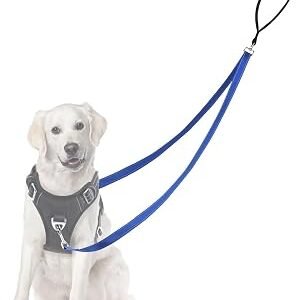Two Point Control Dog Leash, Professional Anti-Pull Dog Lead with Reflective Stitching and Soft Padded, Works with No Pull Harnesses, Easy to Convert to Single Lead for Small Medium Dogs (Blue)
