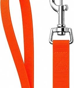 AKORD Strong Nylon Dog Pet Lead Leash, Orange