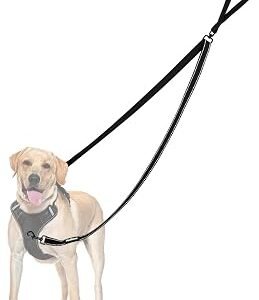 PetBonus Two Point Control Dog Lead, No Tangle Training Walking Leads