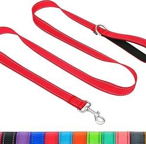 Taglory Dog Lead for Small Medium Dogs with Padded Handle, Red, 180x2.0cm