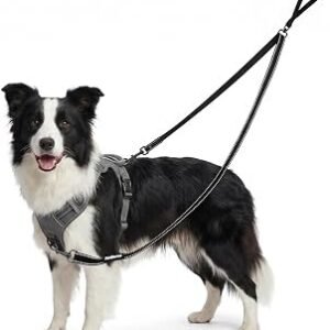 1Pc Two Point Control Dog Leash No-Pull Dog Lead with Double Ended Anti-Pull Dog Lead with Reflective Stitching for Small Medium Dogs Walking Running (Black)