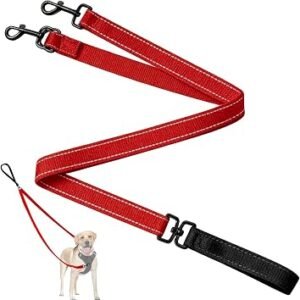 Two Point Control Leash for Dog, Professional Anti-Pull Dog Lead, Red